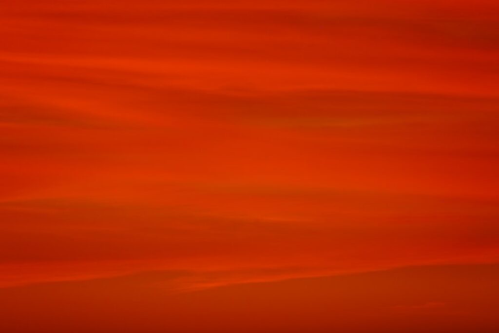 Rood in je interieur: kleurcombinaties die werken bij wonen