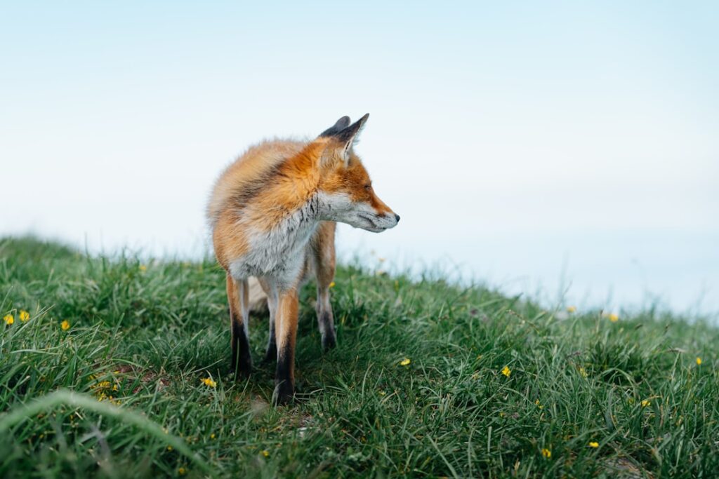 Fris wonen met Vos interieur: stijl, comfort en persoonlijkheid in huis
